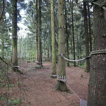 Bunter Hirsch, Relaxen Im Harz Apartment *