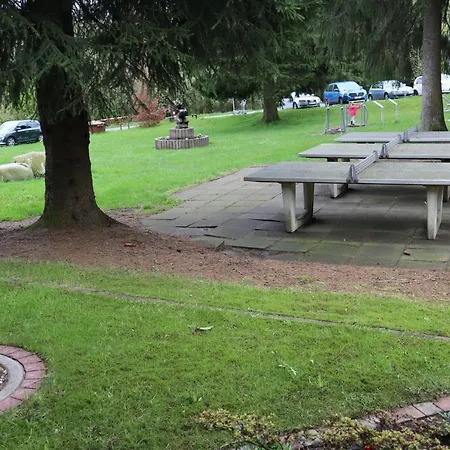 Bunter Hirsch, Relaxen Im Harz Goslar